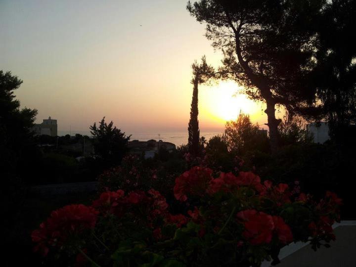 Villa Flora Studios & Apartments Conca Specchiulla Bagian luar foto