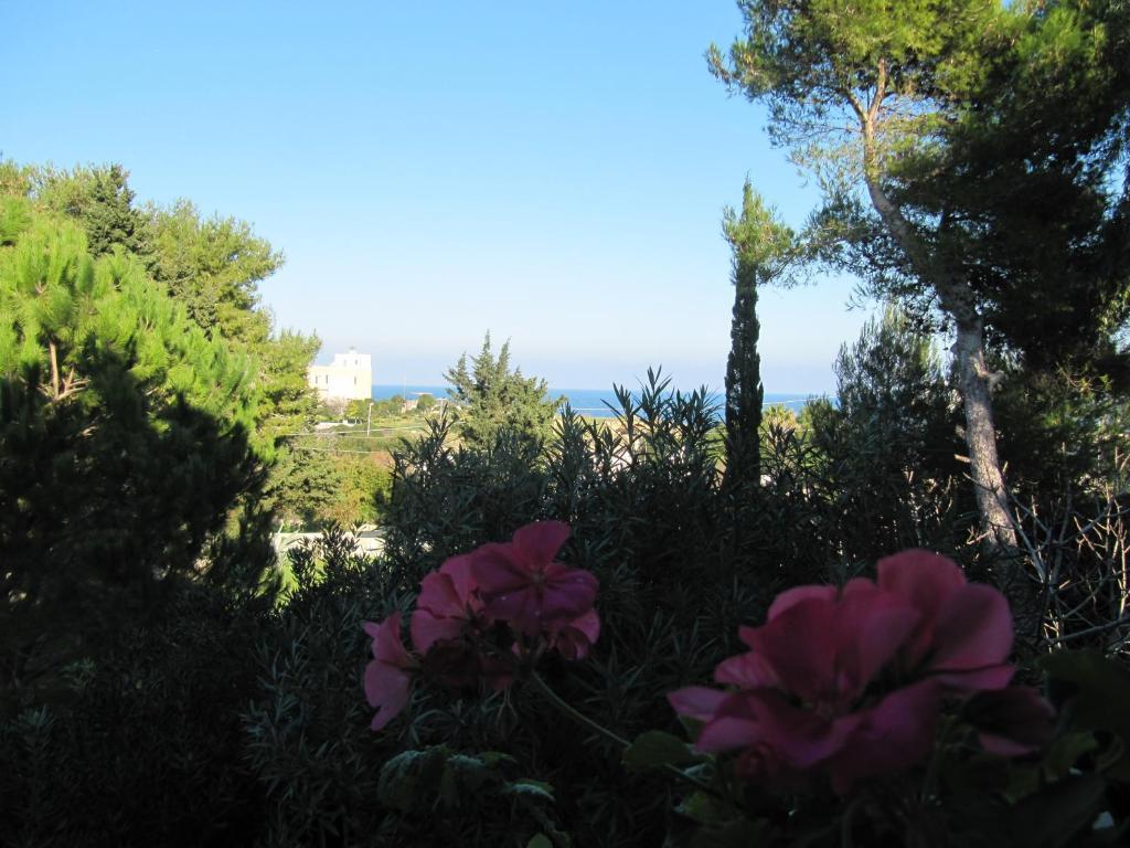Villa Flora Studios & Apartments Conca Specchiulla Bagian luar foto